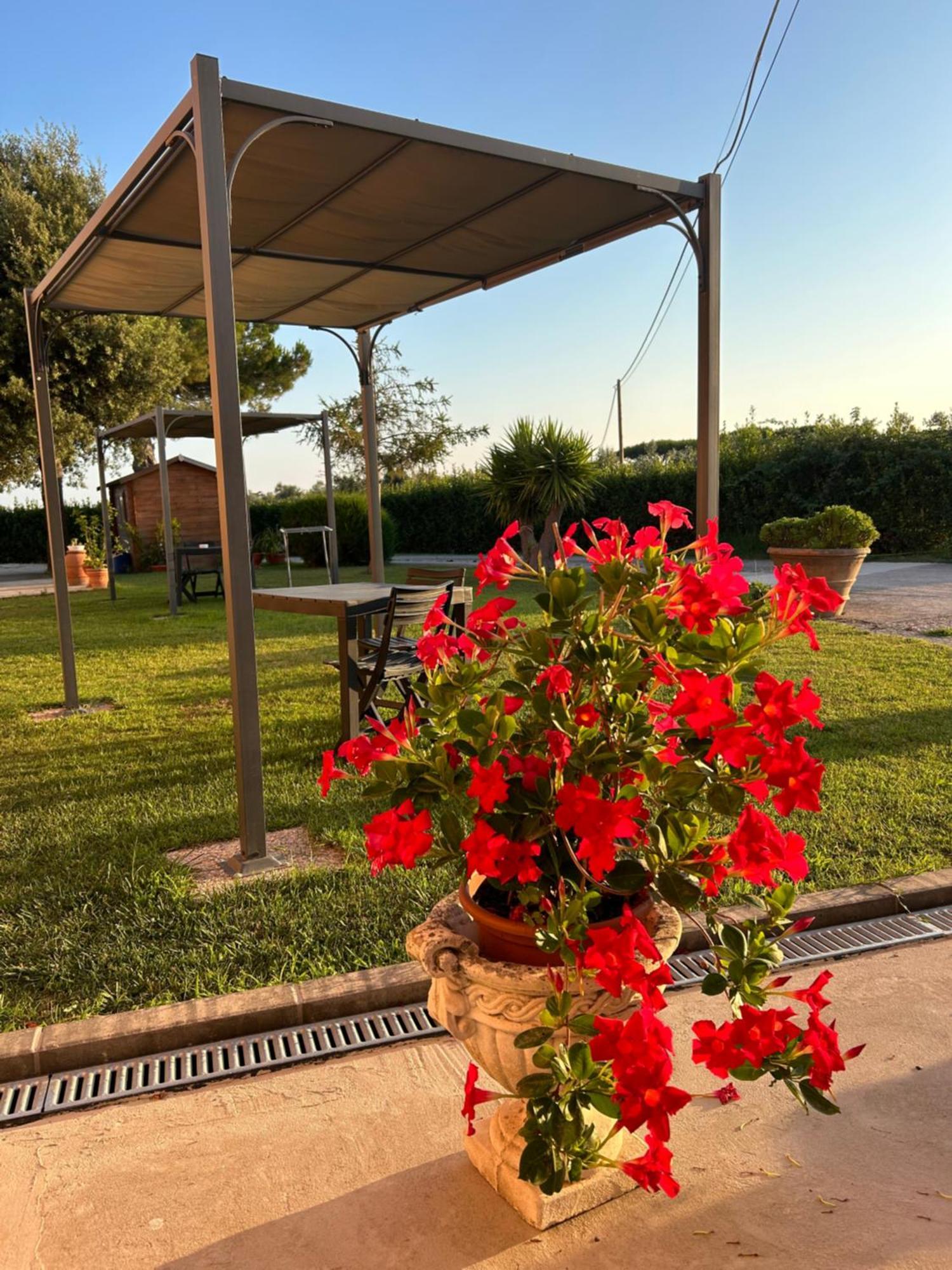 Agriturismo Da Michele E Carmela Di Voli Patrizia Donoratico Εξωτερικό φωτογραφία